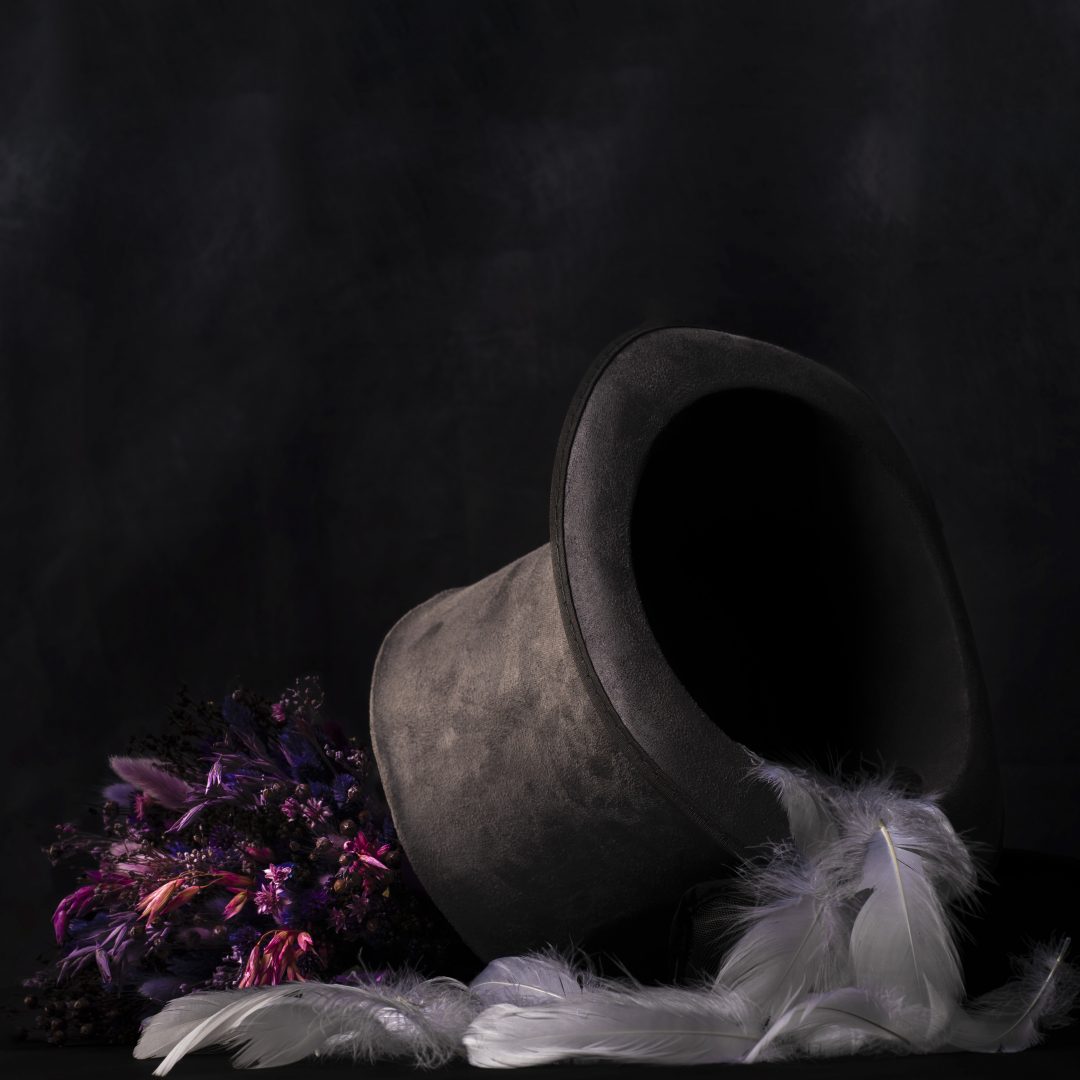 Anima still life photograph