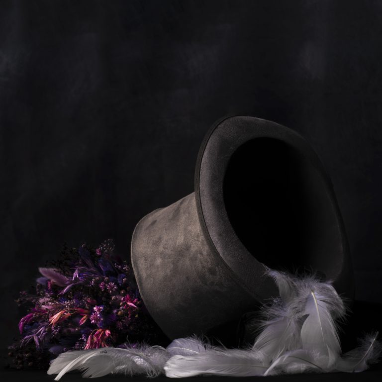 Anima still life photograph