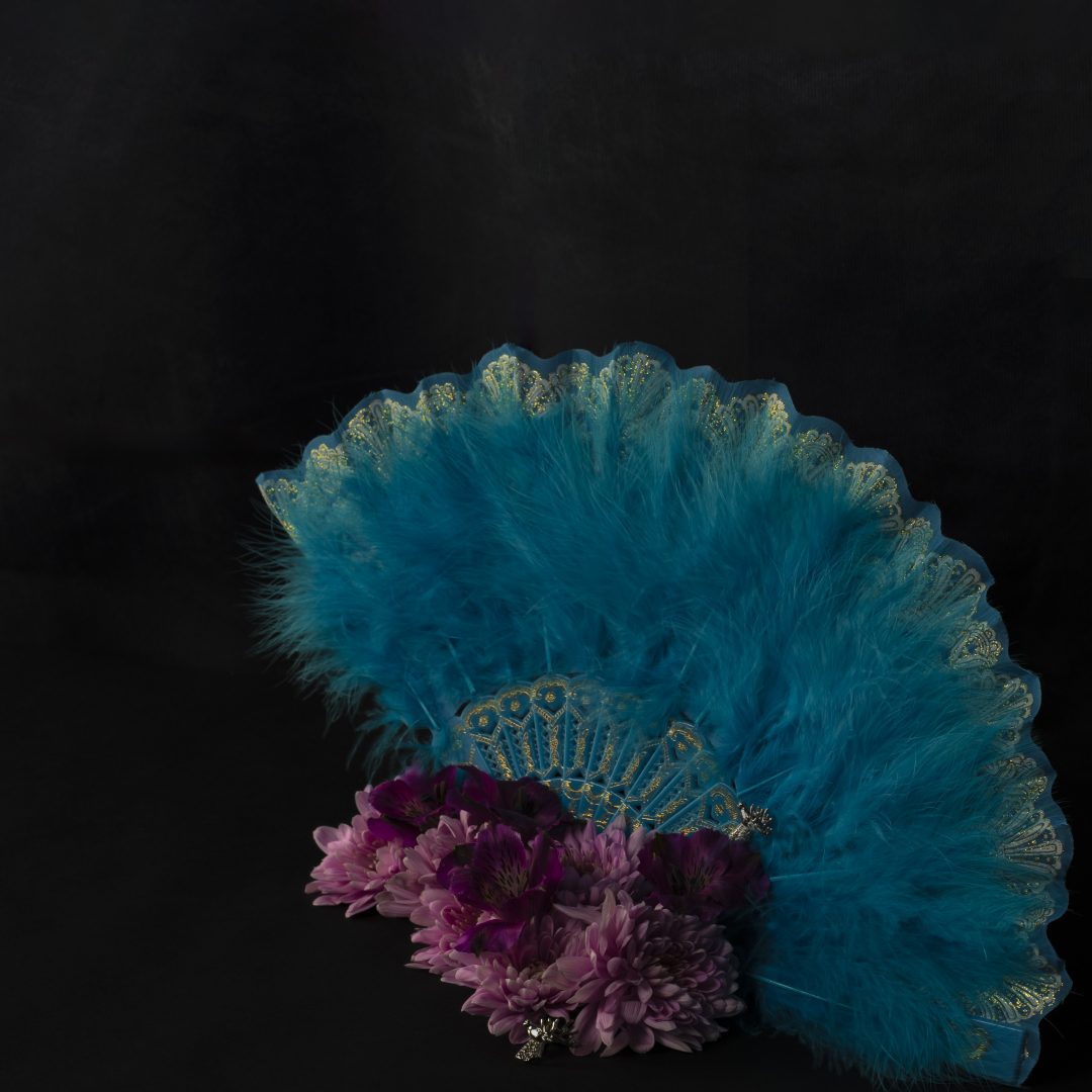 Animus still life photograph