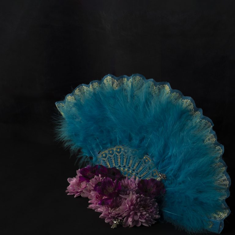 Animus still life photograph