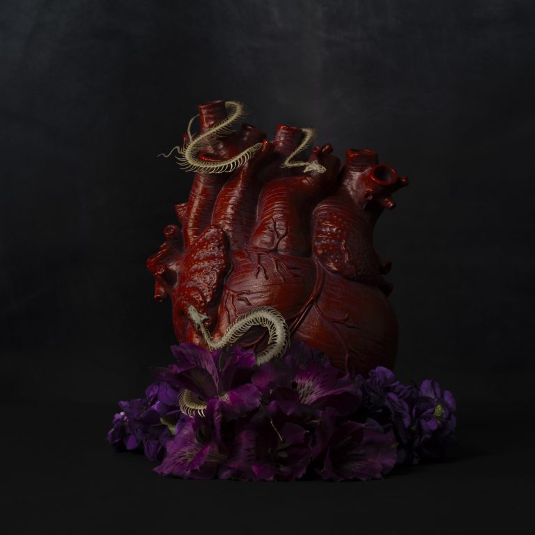 Shadow still life photograph