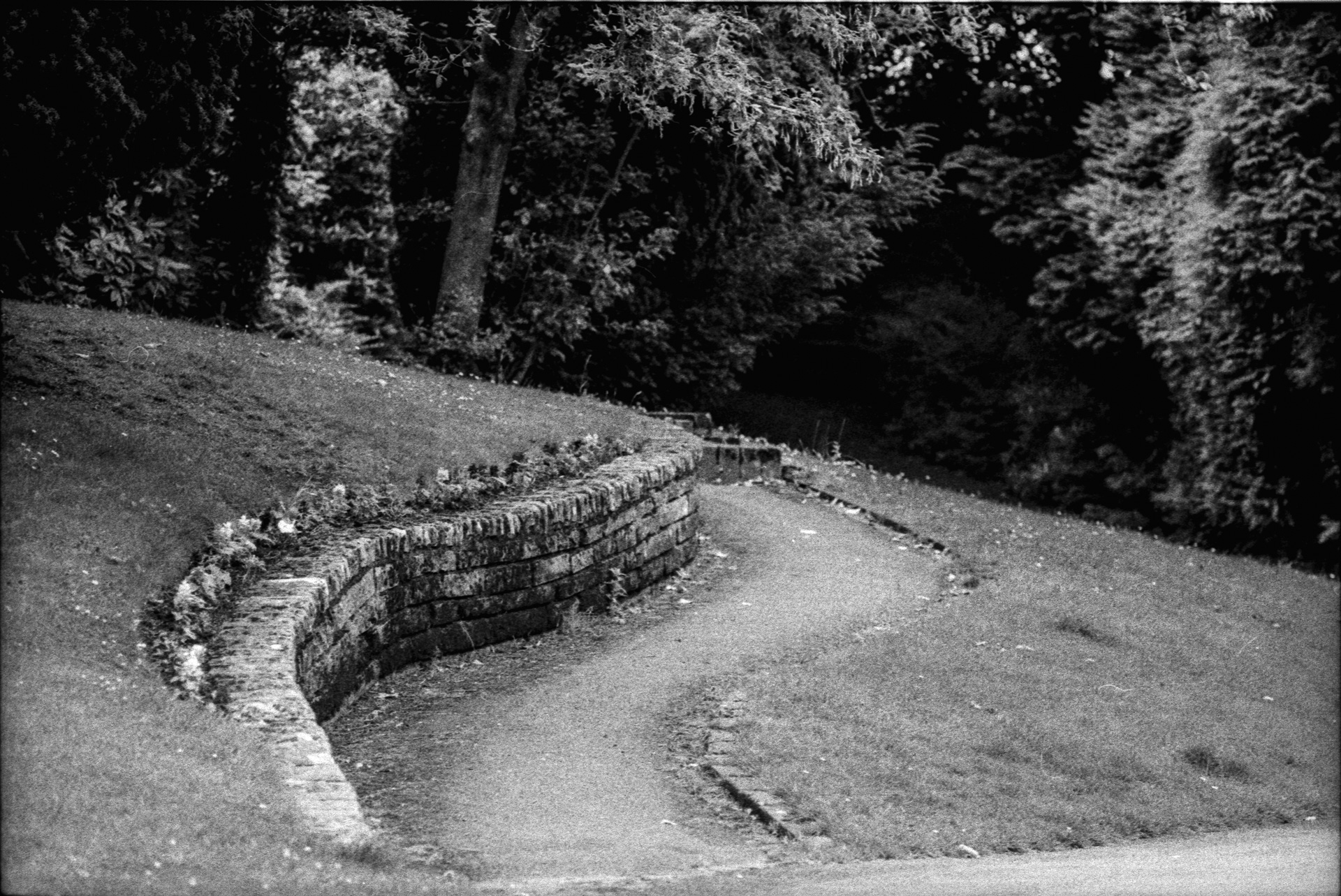 Black and white photograph of a path