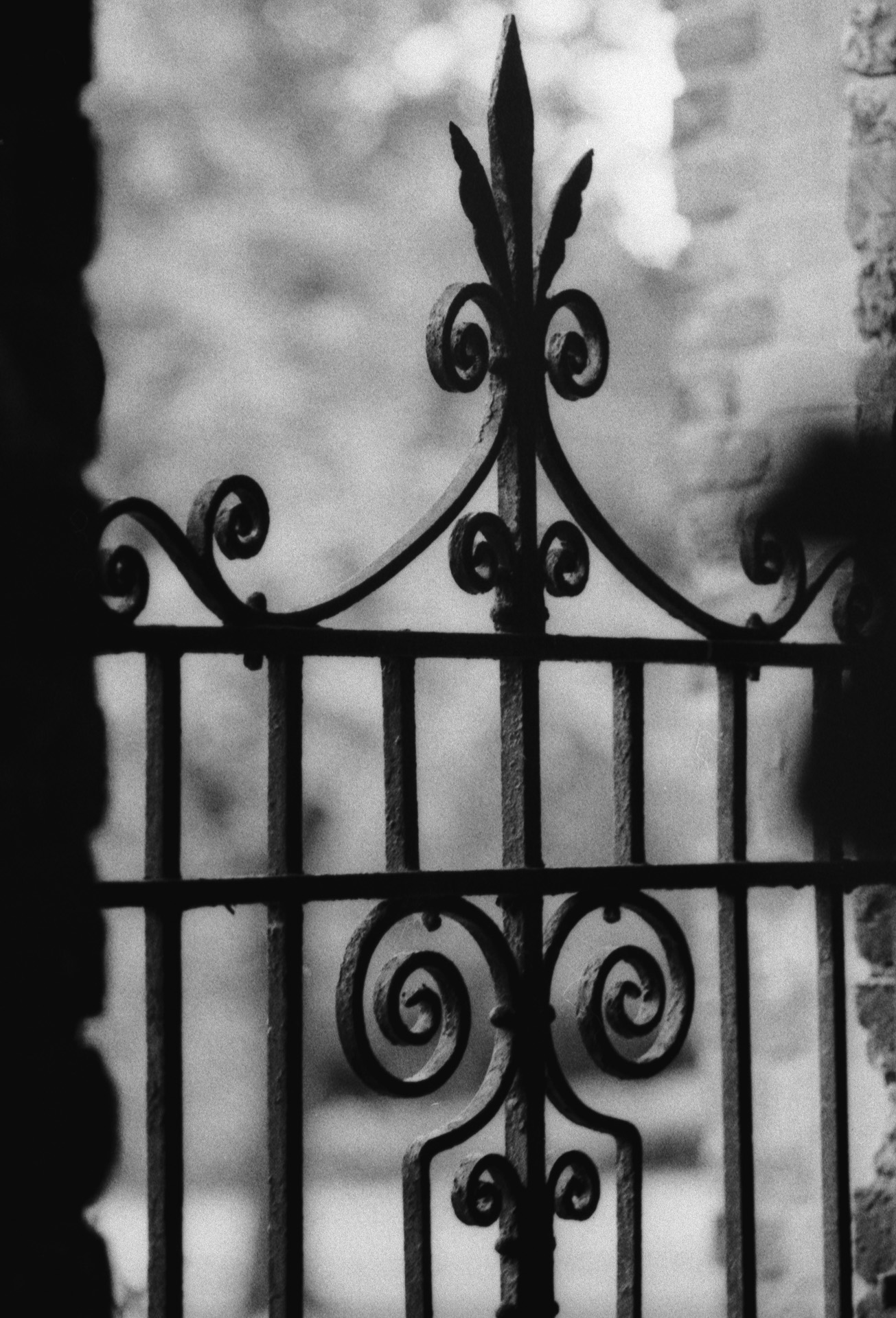 Black and white photograph of a gate