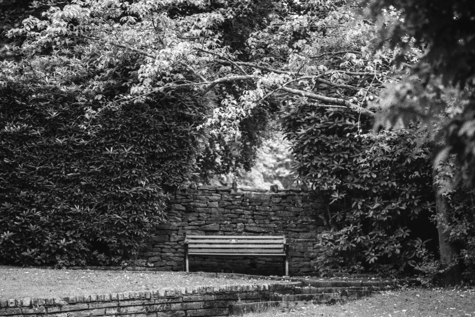 Black and white photograph of a bench